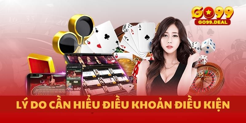 Lý do cần hiểu điều khoản điều kiện