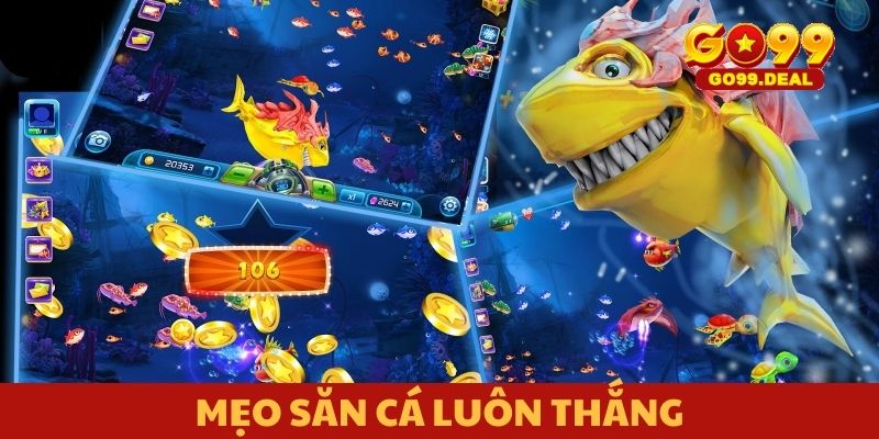 Mẹo săn cá luôn thắng